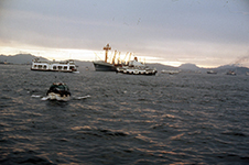 1973 Hong Kong